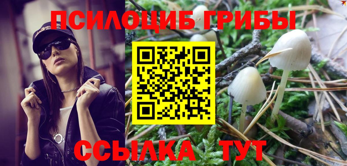 Долгопрудный  Галлюциногенные грибы GOLDEN TEACHER  Галлюциногенные грибы прущие грибы  где можно купить   Вход с VPN 