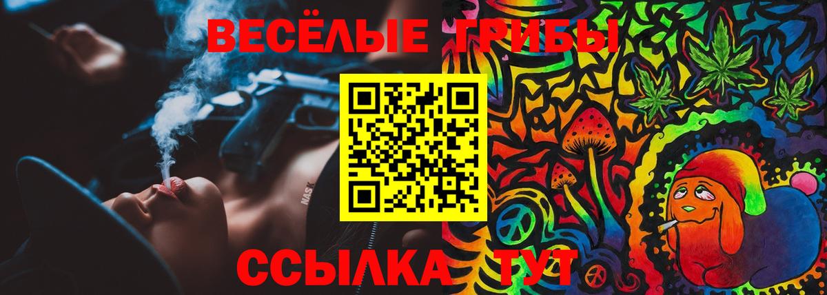 Галлюциногенные грибы мицелий Долгопрудный